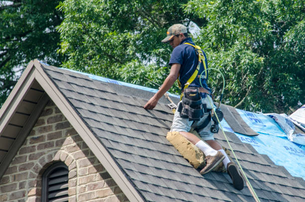 Best Roof Gutter Cleaning  in Hartford, KY